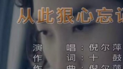 倪尔萍 - 从此狠心忘记你 (KTV版)