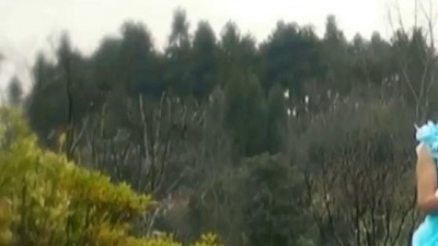 依蓉儿 - 山茶花