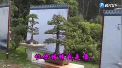 大侠枯萎 - 王志文 江珊对唱《我悄悄蒙上你的眼睛》经典老歌，熟悉的旋律