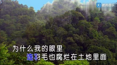 廖昌永 - 我爱这土地 (KTV版)