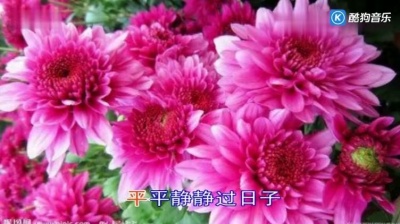 秦永 - 无情相思有情泪 (KTV版)