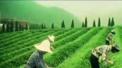 王莹 - 妹妹的花儿