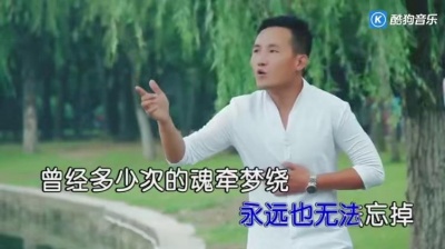 凌宏兵 - 遗失的爱