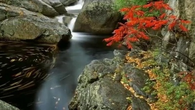 晓歌 - 雷婷一首《爱你十分泪七分》唱出多少无奈，相爱却不能相伴！