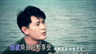 孟刚 - 剁椒鱼头 (KTV版)
