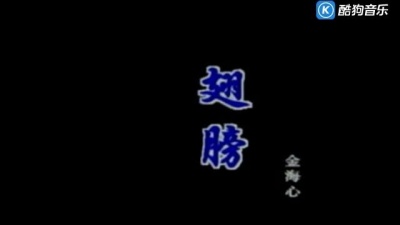 金海心 - 翅膀