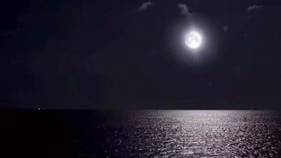 吃瓜老衲 - 如果有一首催眠曲，可以让你试试究竟能坚持多久不入睡，那么《月光》绝对是最好的选择 #音乐 #催眠曲 #音乐推荐