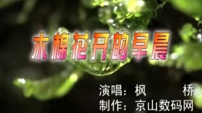 枫桥 - 木棉花开的早晨