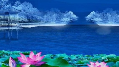 动人金曲 - 一首经典纯音乐《月满西楼》，我听了好多遍，还是听不够