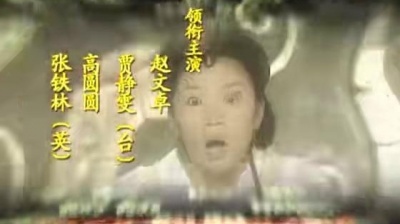 影视原声 & 金学峰 - 下弦月 电视剧<神医侠侣>主题曲