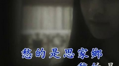 刘芳 - 芒花