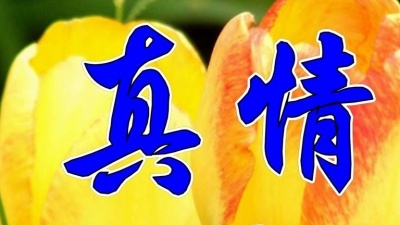 完美音乐空间 - 高胜美一首经典情歌《真情》好听极了