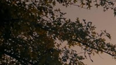 Thomas Rhett - American Spirit