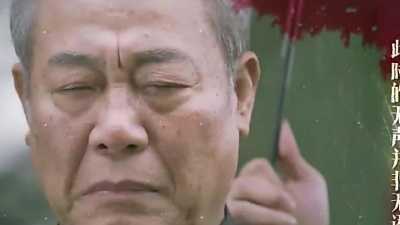 卞留念 - 爱无语