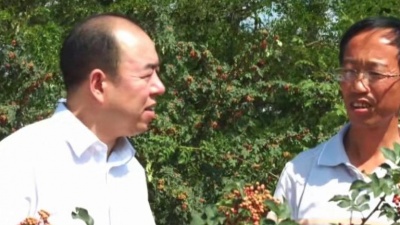云丹久美、花儿梦组合 - 甘谷信合是我家