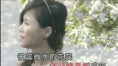 王建杰、刘依纯 - 心声 (KTV版)