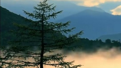 曹艺馨、艺涛 - 中国V5