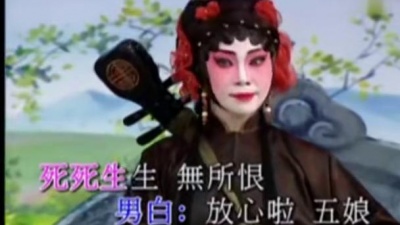 罗家宝、曾慧 - 琵琶上路 (KTV版)