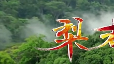 唐薇 - 梨都砀山