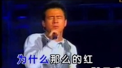 杨坤 - 花儿红