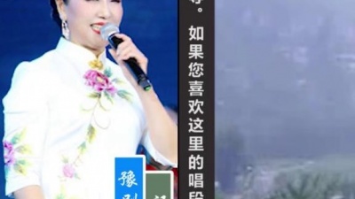晓峰音乐原创歌曲制作 - 汪荃珍豫剧唱腔精选：儿童戏曲电视剧《红剪花》暖儿妈唱段：暖儿啊，何时才能回家乡