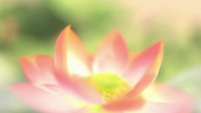 彭楚粤 - 总是春
