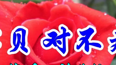 音乐频道 - 怀旧金曲，刘秋仪一首《宝贝对不起》好听极了