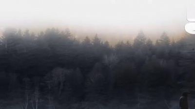 小咪 - 我走后