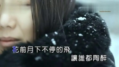 孙露 - 美丽的花蝴蝶 (KTV版)