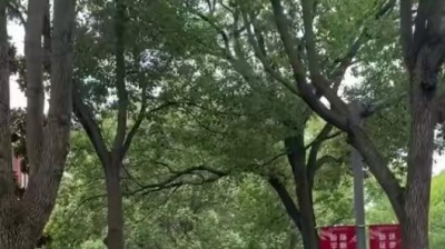 陆杰awr - 听悲伤的情歌