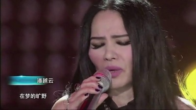 辛龙、潘越云、梦想星搭档 - 我很丑可是我很温柔