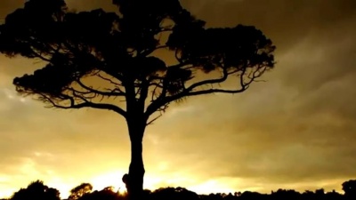 Ben Howard - Keep Your Head Up
