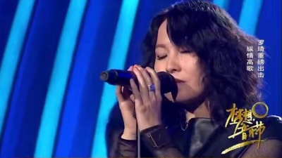 罗琦、梦想音乐节 - 我是一只小小鸟