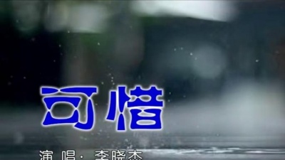 李晓杰 - 可惜