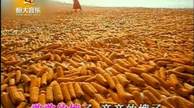 李娜 - 嫂子颂