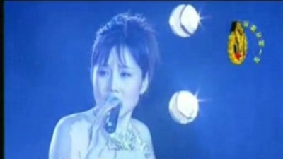 胡月 - 走西口