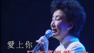 潘迪华 - 我在梦里见过你 (KTV版)