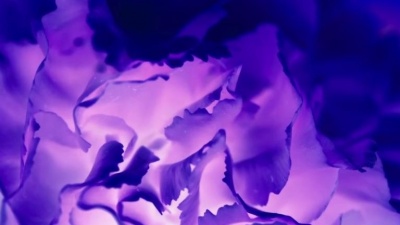 Chad Lawson - Lawson: the color of the sky