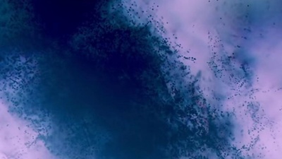 ANNA、Laraaji、Jon Hopkins - Receiving