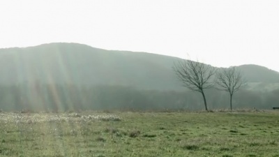 Darius & Finlay、Aili Teigmo - World's Crashing Down (Lyric video)