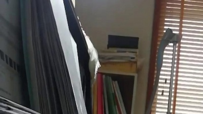 雷诺 - 广播剧《默读》主题曲《以沫》钢琴视奏