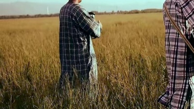 何静 - 玛拉伊萨