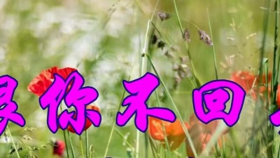 苍弟 - 伤感情歌，高胜美一首《恨你不回头》好听极了