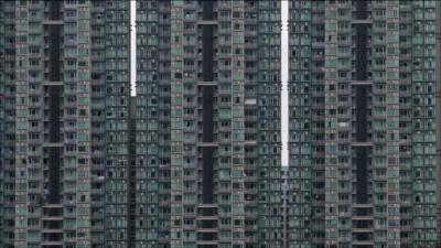 紫雨林 - 二十五,二十一