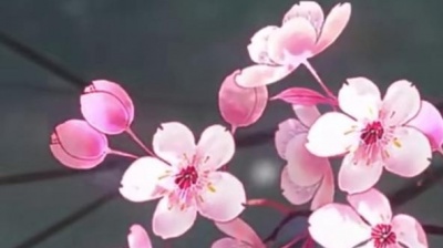 歌曲里的小宇宙 - 惊鹊