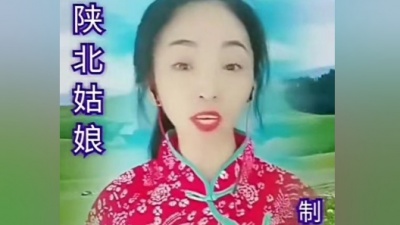 李玫 - 【陕北姑娘】
