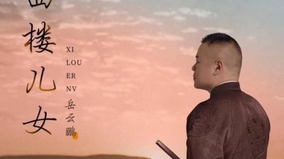 豆豆果 - 岳云鹏《西楼儿女》饭制