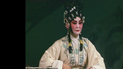 余阳丽、严泽芳 - 琵琶声韵结良缘