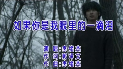 李绪杰 - 如果你是我眼里的一滴泪 (KTV版)