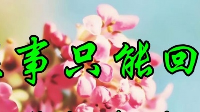 青宝 - 张小英一首经典情歌《往事只能回味》好听极了